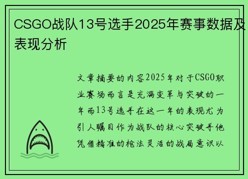 CSGO战队13号选手2025年赛事数据及表现分析